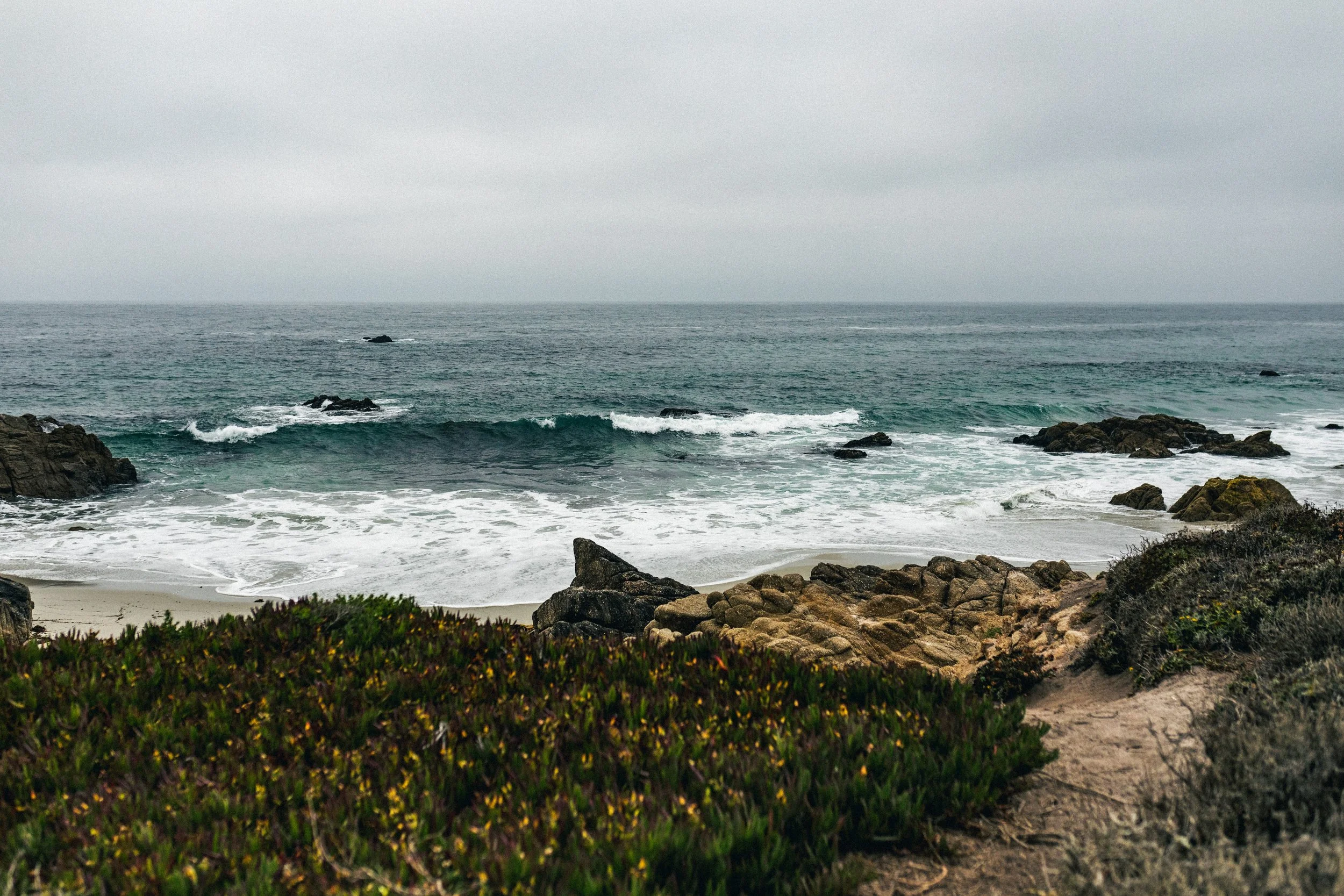 compressedImage (1).jpeg