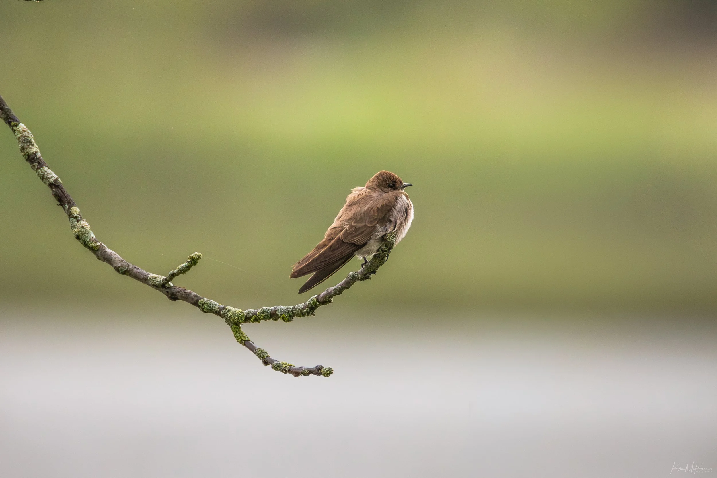 IMG_5914-Edit.jpg