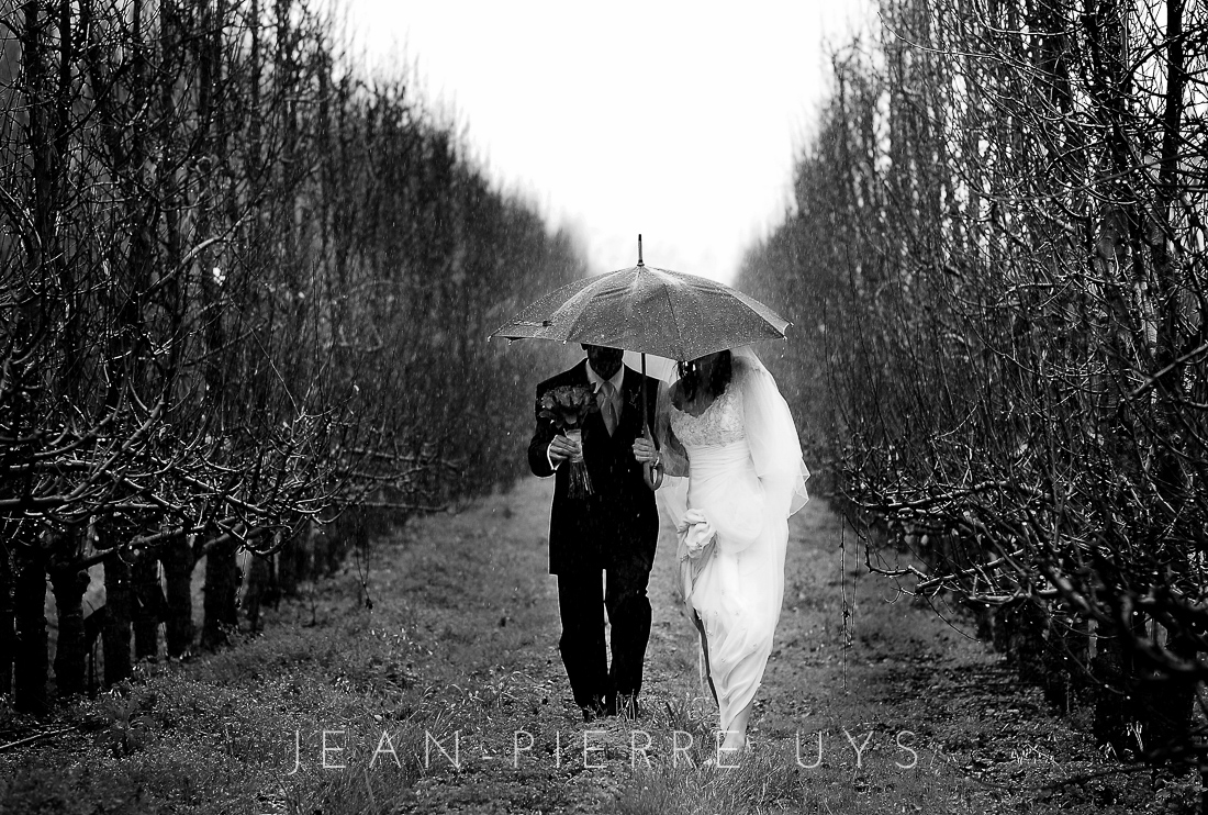This is one my iconic images. We were taking photos and then it started to pour. As we walked back to the car I turned around for one last photo, little did I know what I captured until I got back to my studio a day later. 