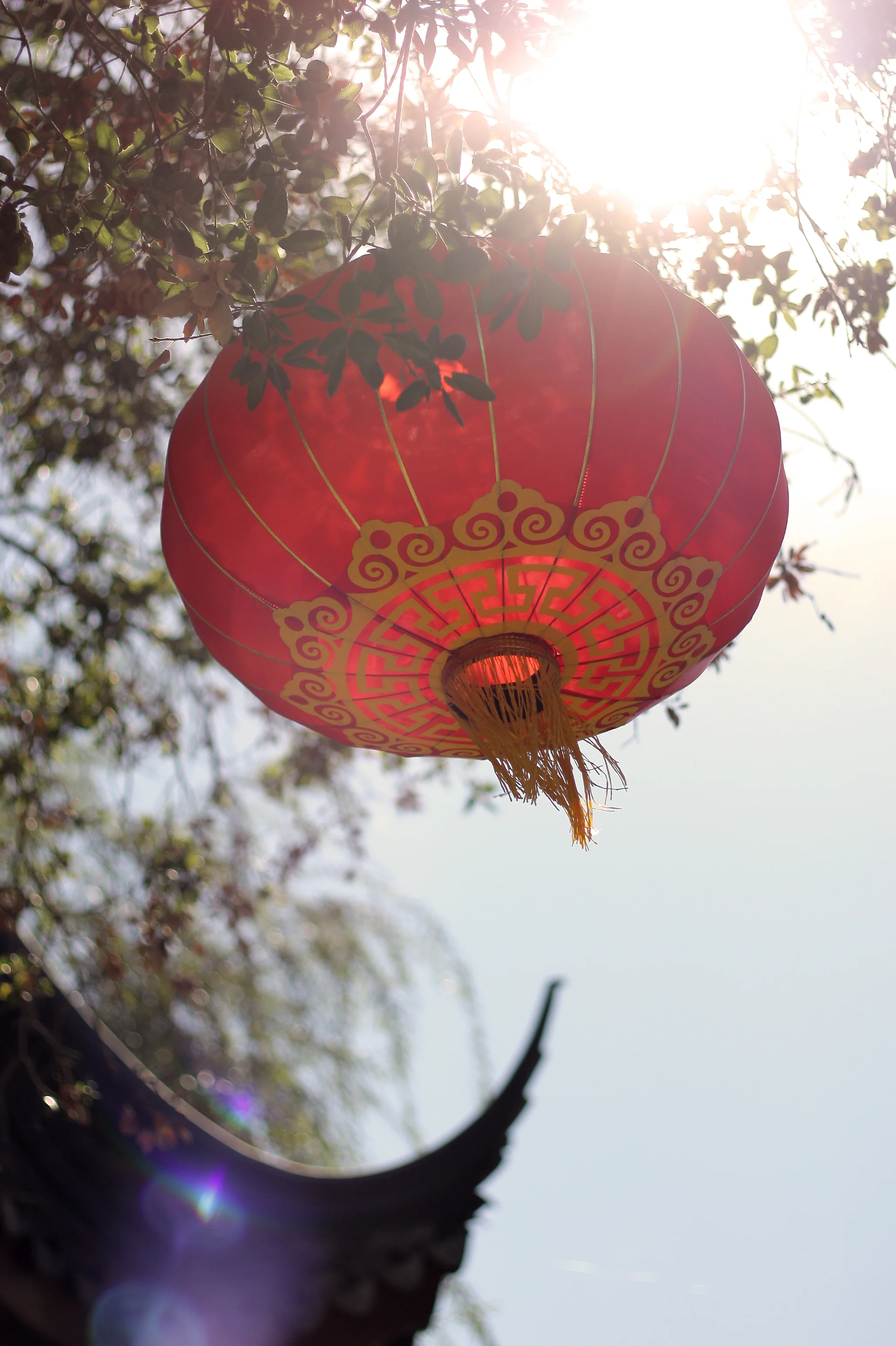 Enjoying the Little Trips in Life