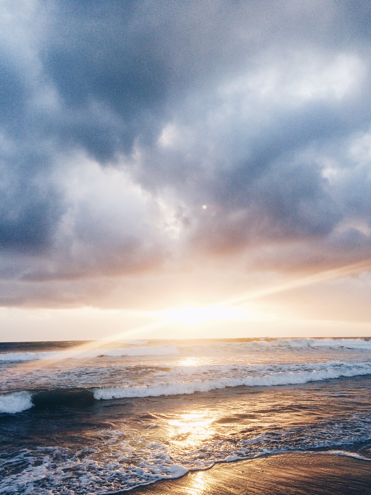 Torrey Pines | San Diego