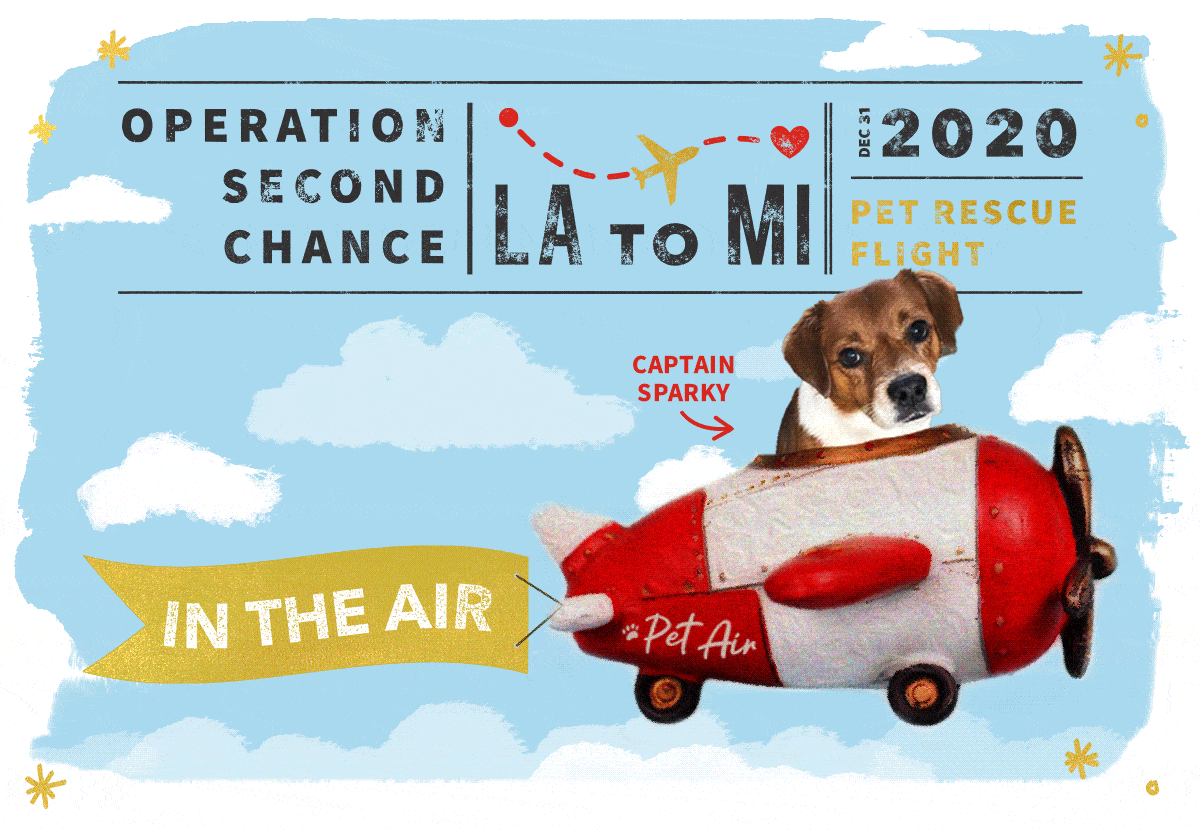 20-1216_NewYearRescueFlightEmail5-InTheAir.gif