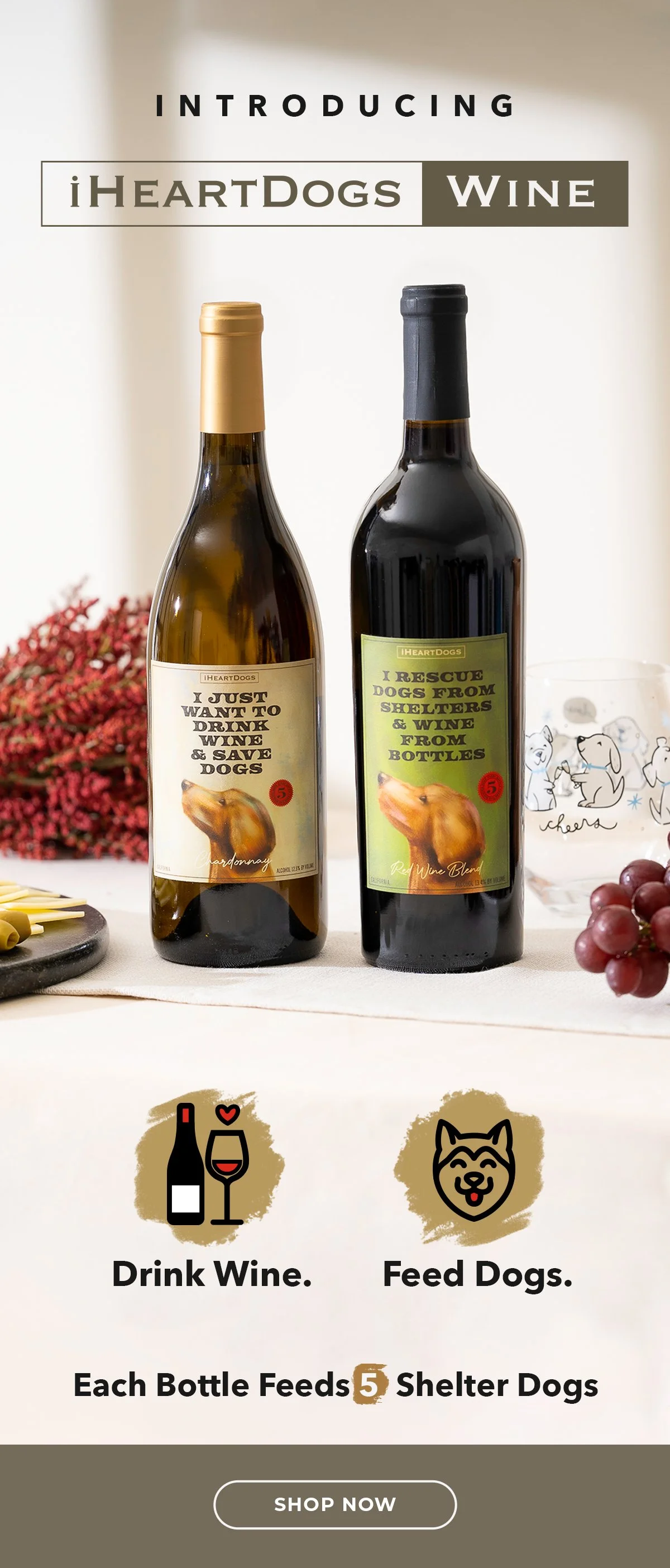 22-0615_WineLaunchEmail-REFERENCE.jpg