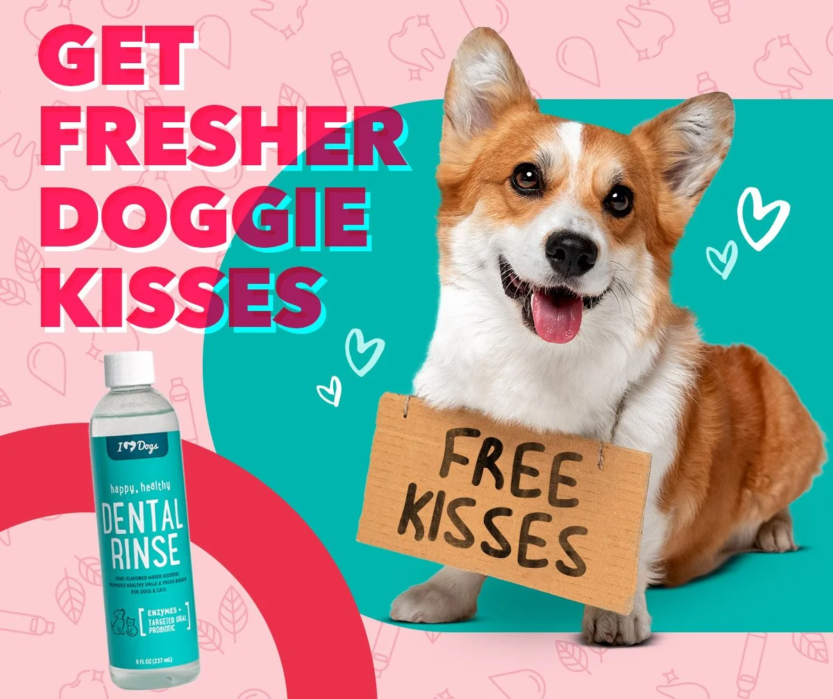 22-0208_DHMEmailHeader-Kisses.jpg