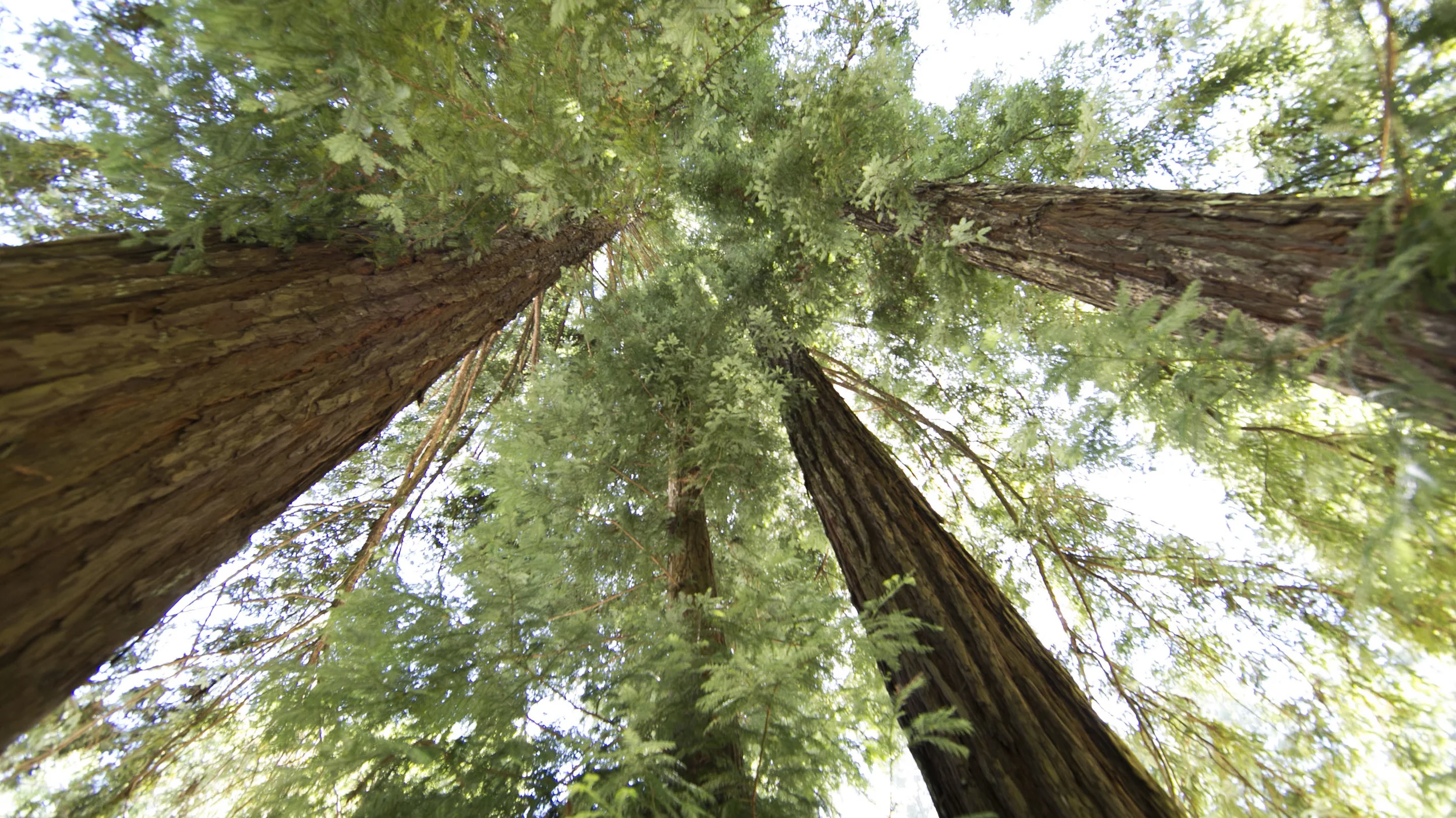 Talullahs Shack Selects_34.JPG