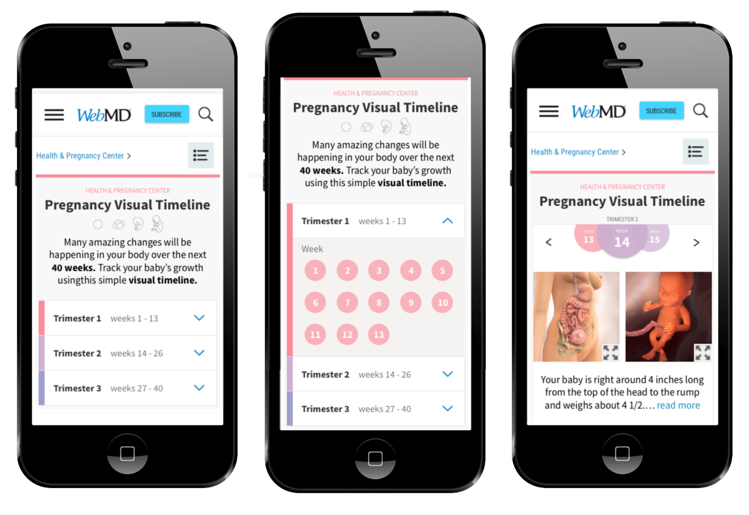 pregnancy tool page 2.png