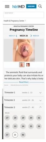 pregnancyinprogress3.jpg