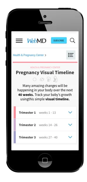 pregnancyfinal1whitebg.jpg