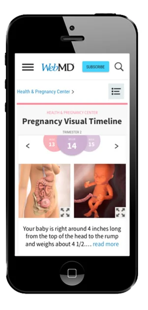 pregnancyfinal3whitebg2.jpg