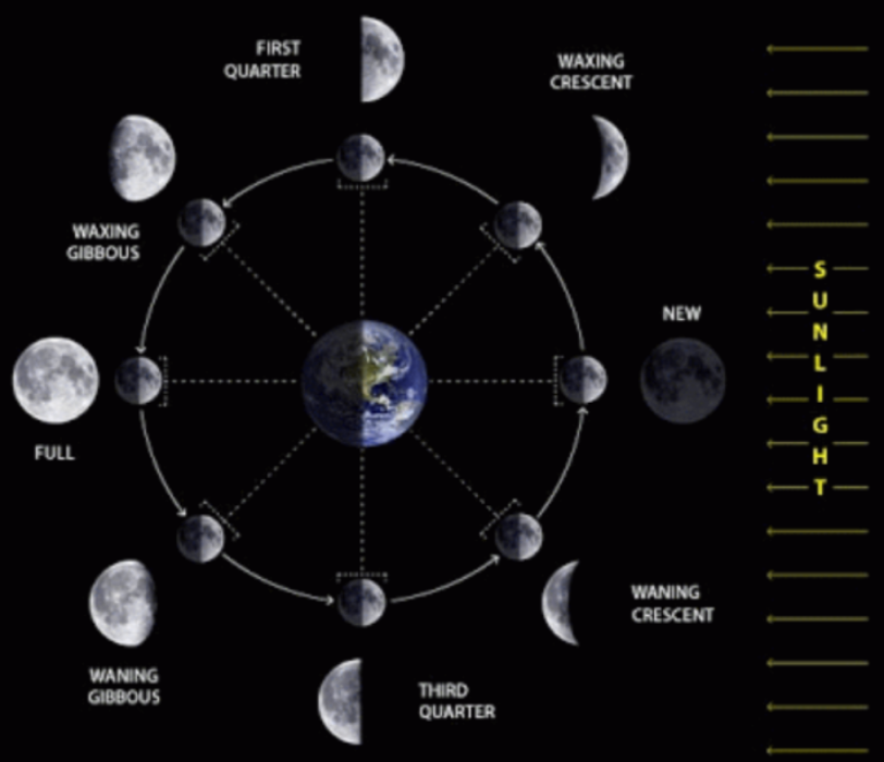 phases.gif