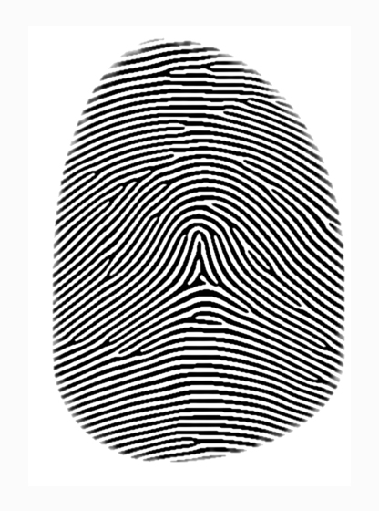 fingerprint arch.jpg