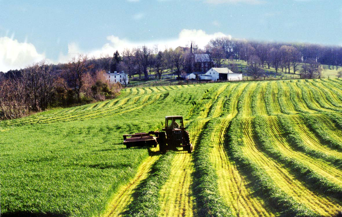 farmer-field.jpg