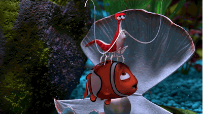 CLEANER SHRIMP - FILL A SPECIALIST NICHE ROLE