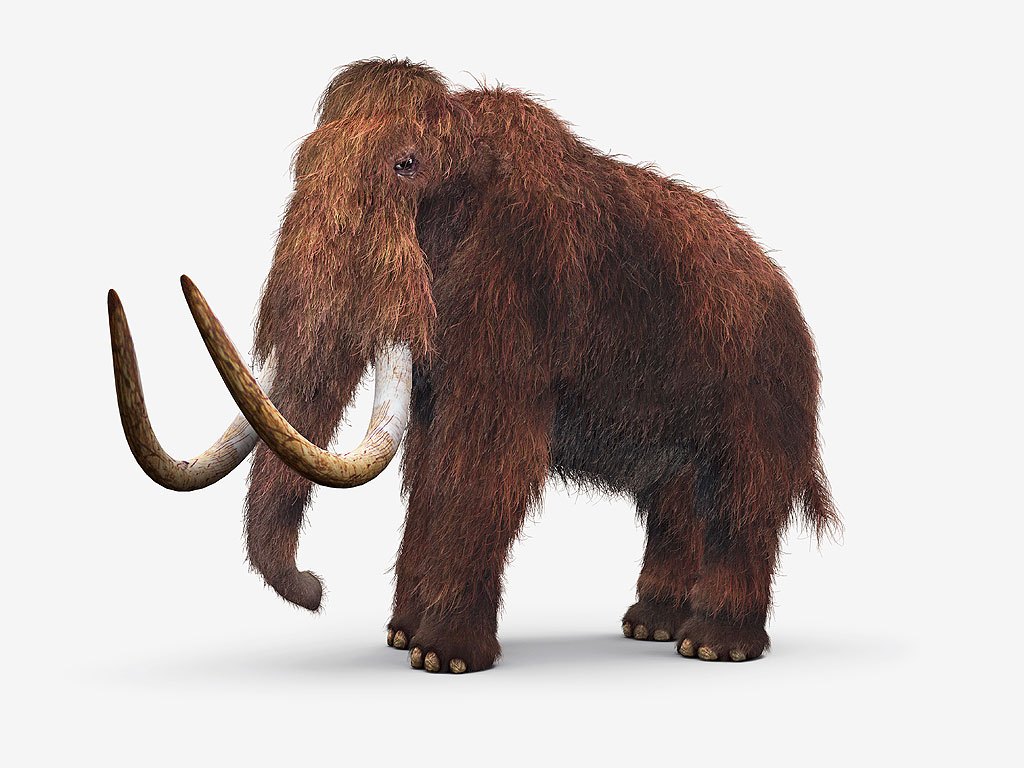 wooly-mammoth-1024.jpg