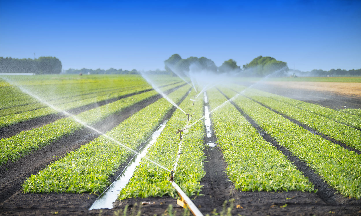 irrigation-services-in-arizona-southwest-irrigation.jpg