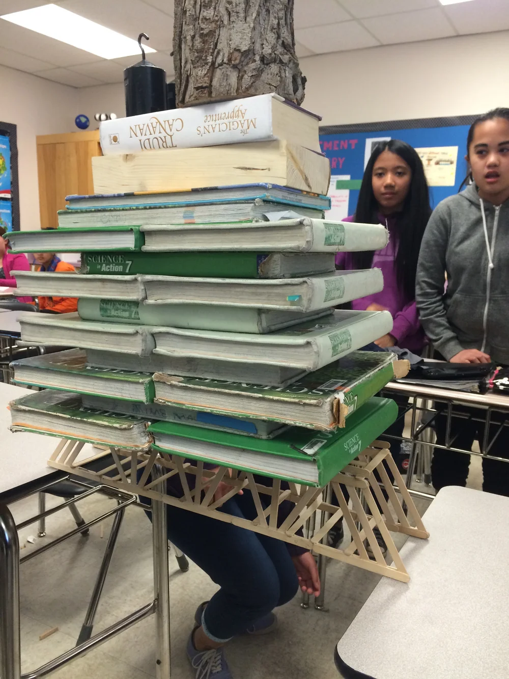 Unit D : Structures & Forces 1 — Kurpinski's Class