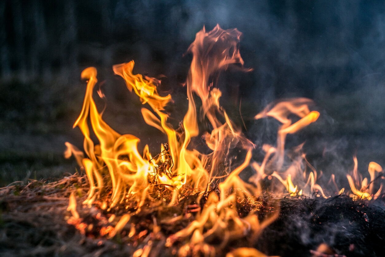 The-flames-of-the-fire-burning-the-herb-in-the-evening-field-turning-into-coals-and-ashes-with-smoke-1127157734_1258x838-1.jpeg