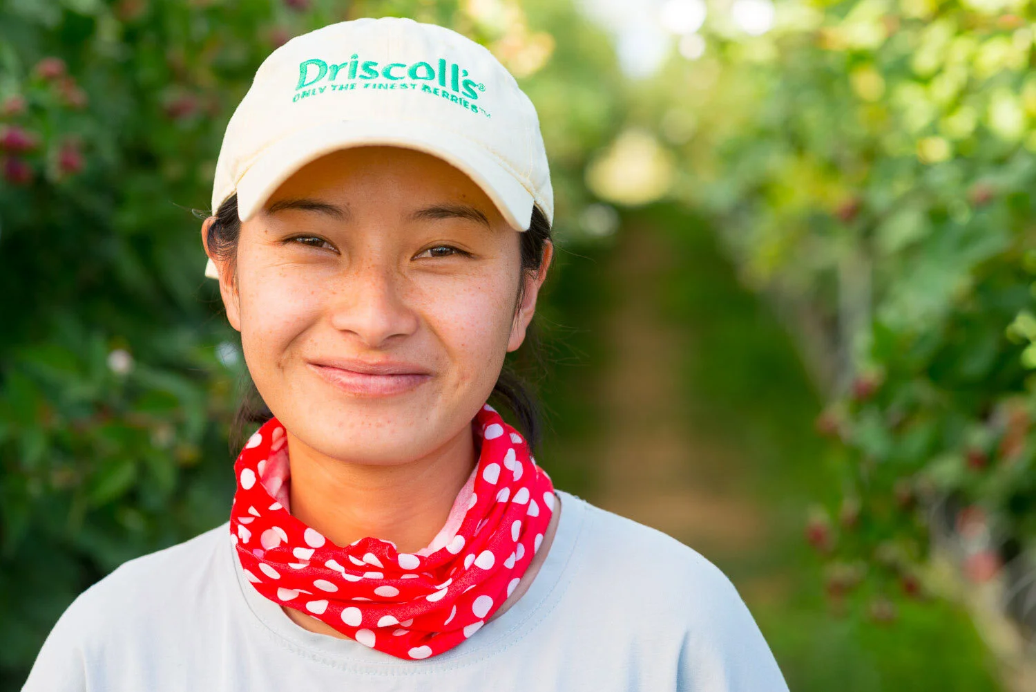 Berry farm photography key visual #6 for Driscoll's China launch