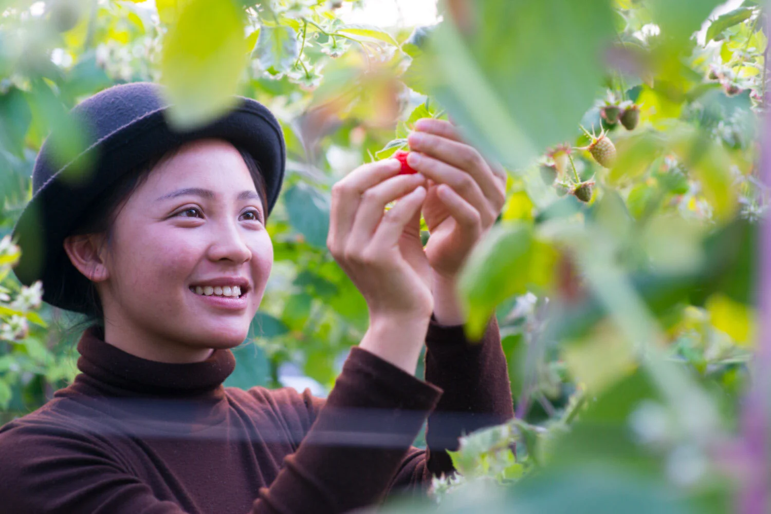 Berry farm photography key visual #4 for Driscoll's China launch