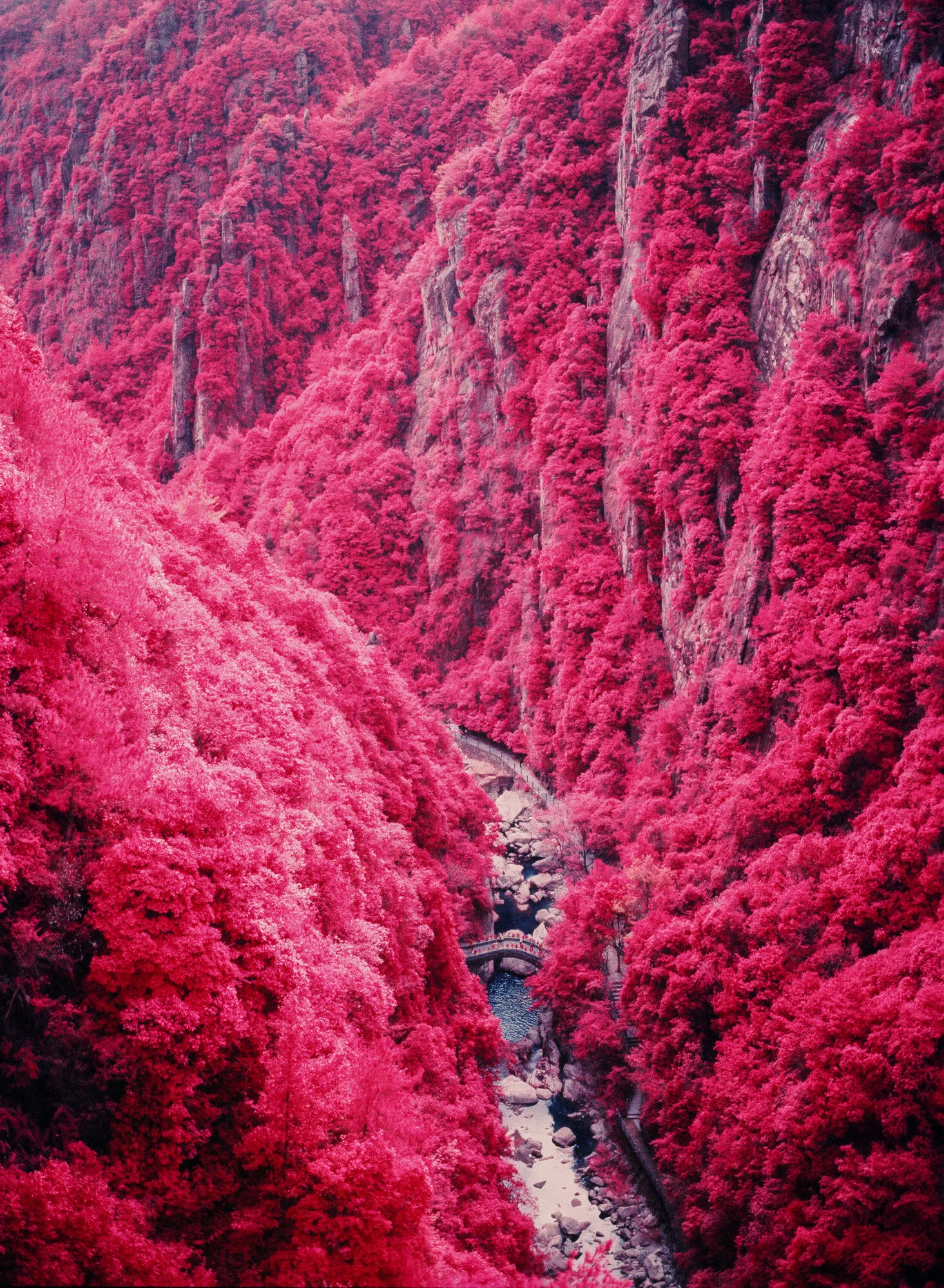 10152019_DTacon_Tiantai_Aerochrome-9.JPG