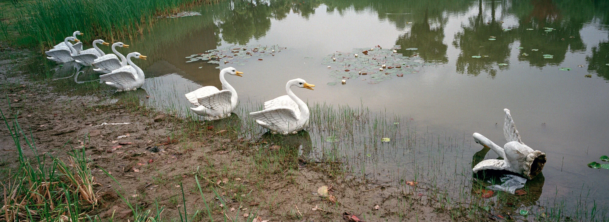  April 24, 2018, Nanjing, China - Swan statues by a lake in Binjiang Park by the Jiajiang branch of the Yangte River. 