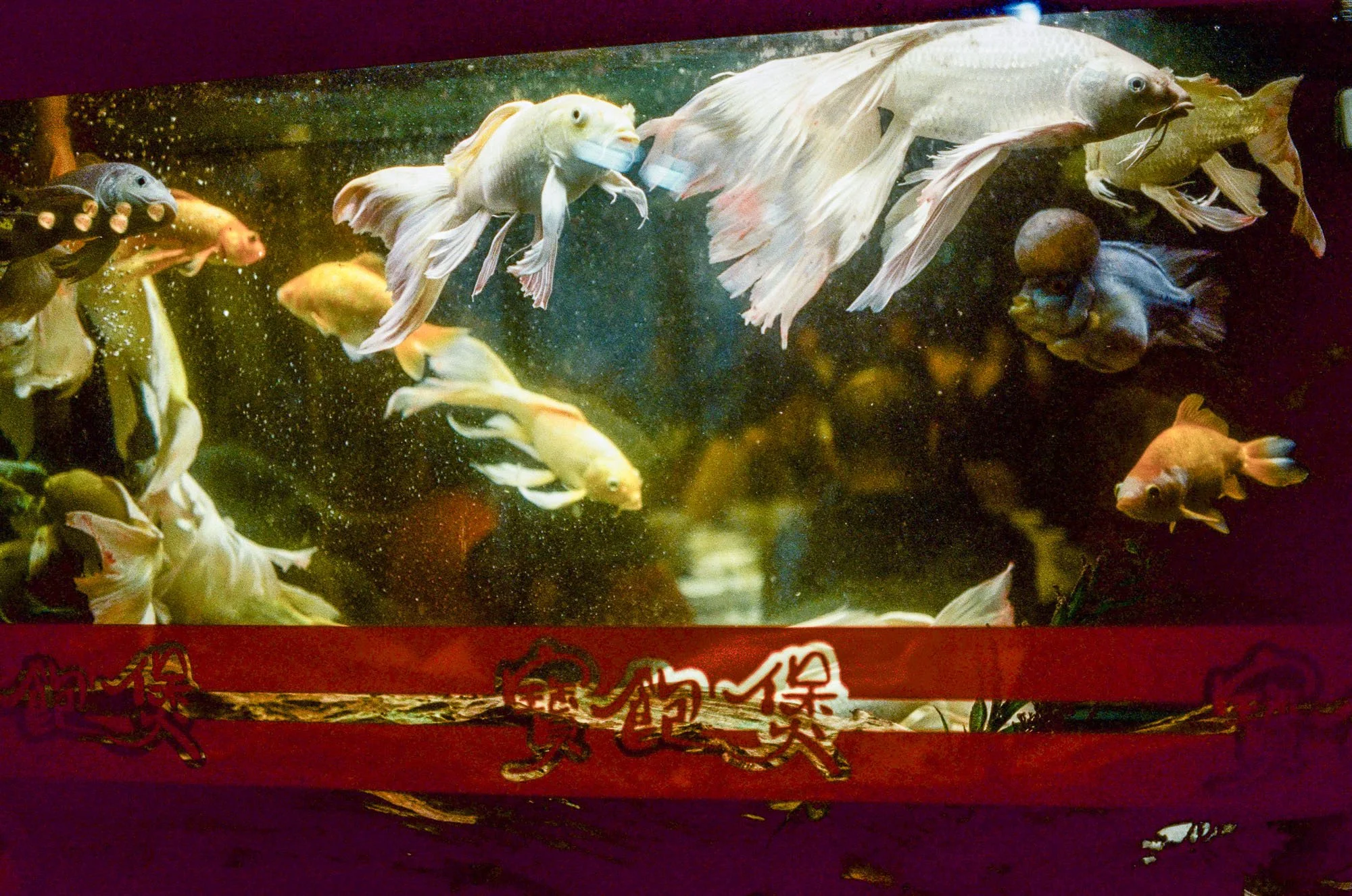 2025-02_DTacon_Taipei_film_Vision3-11.JPG