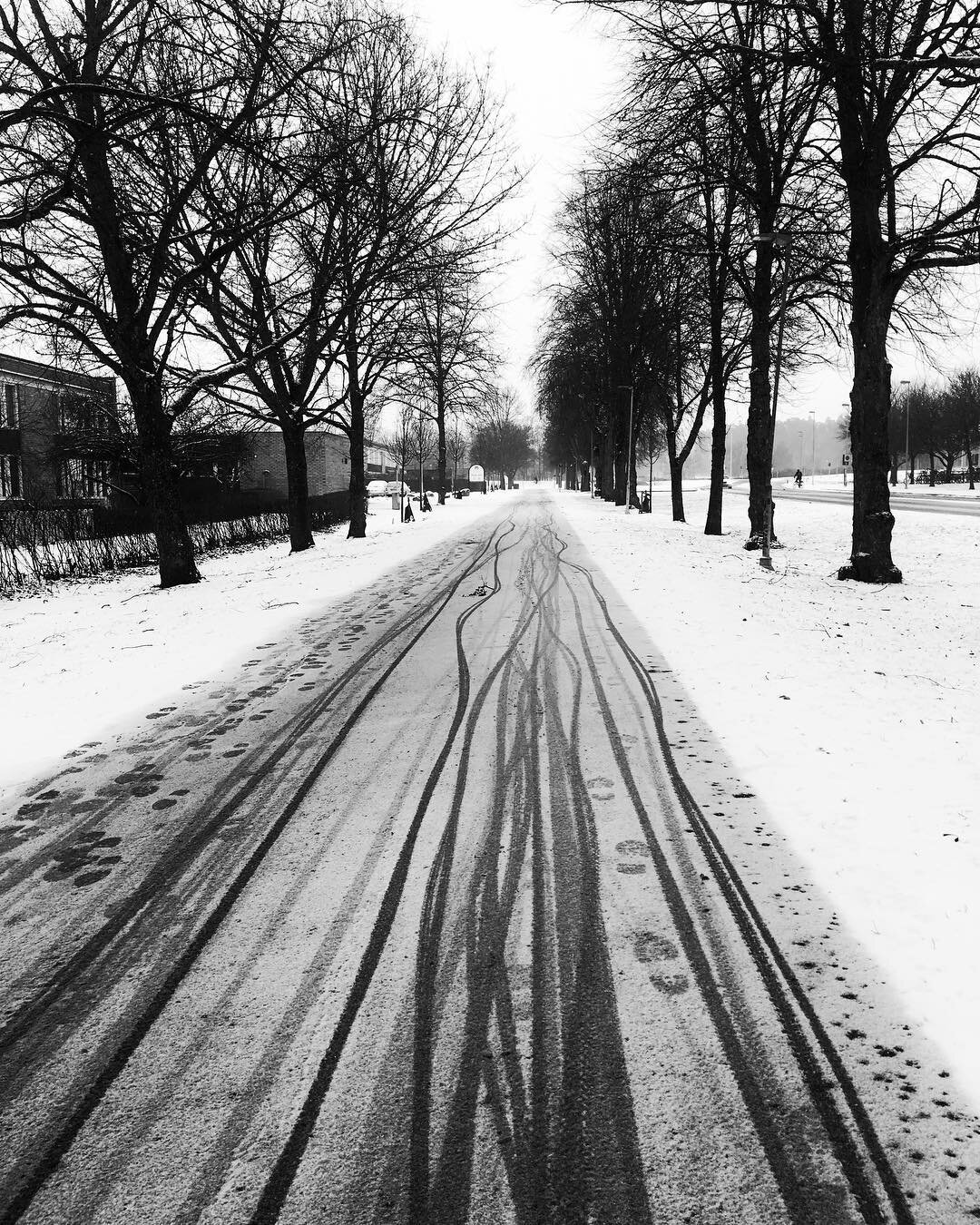 Criss cross
.
.
.
.
#iphoneonly #bnw #blackandwhite #snow #road #iphone #sweden #street