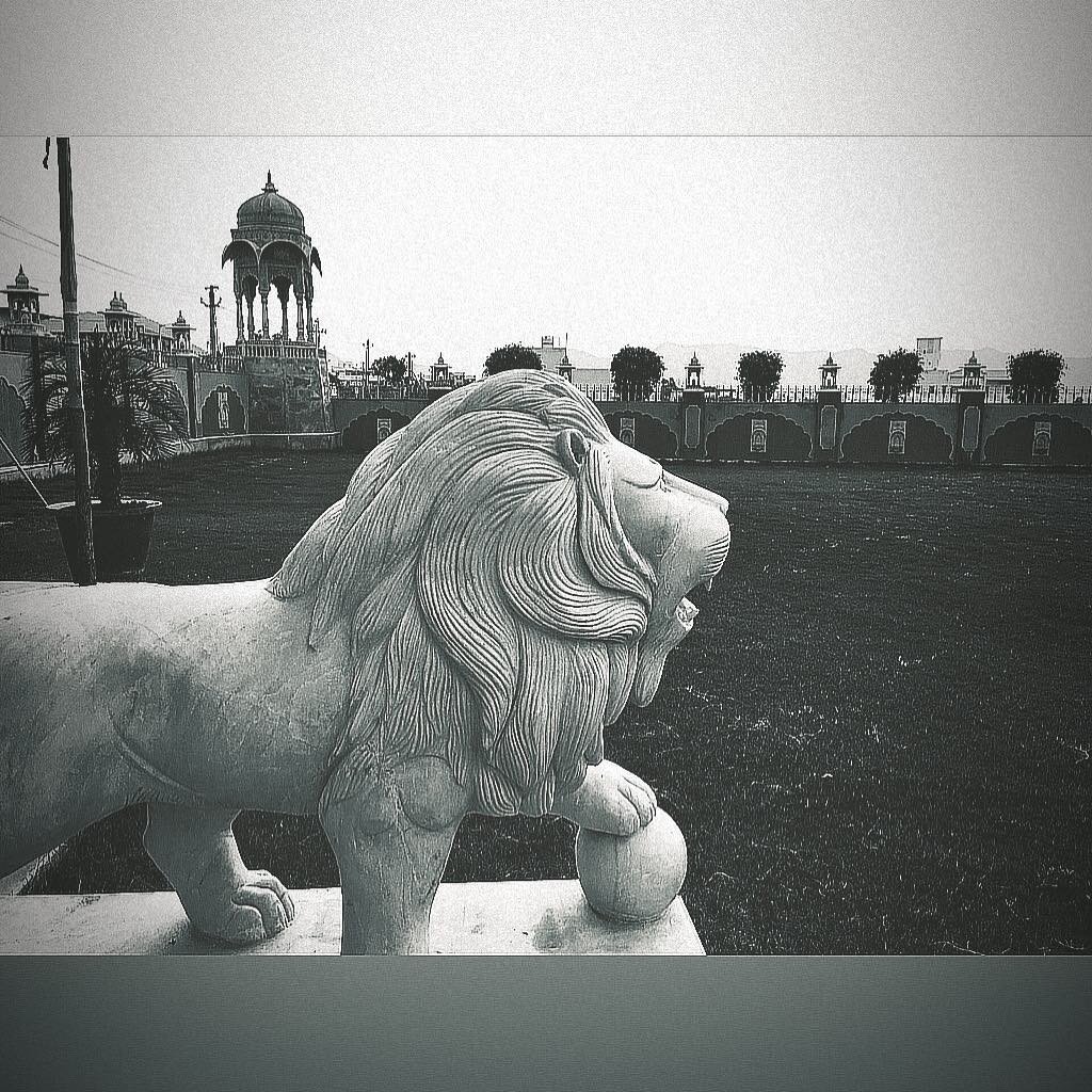 Royal Lion .
.
.
.
#india #udaipur #iphoneography #iphoneasia #iphoneonly #blackandwhite #bnw #iphone6splus #picoftheday #photooftheday #contrast #animal #statue