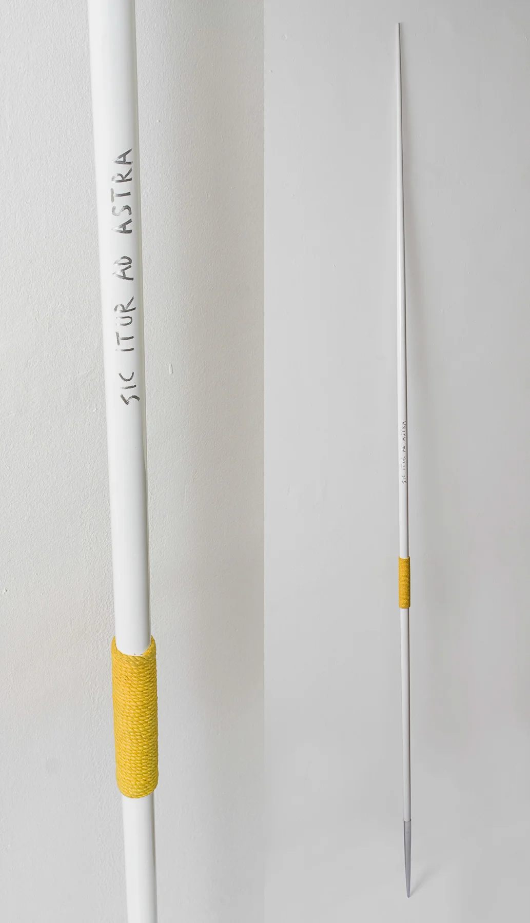 2013 Sic itur ad astra_260cm.jpg