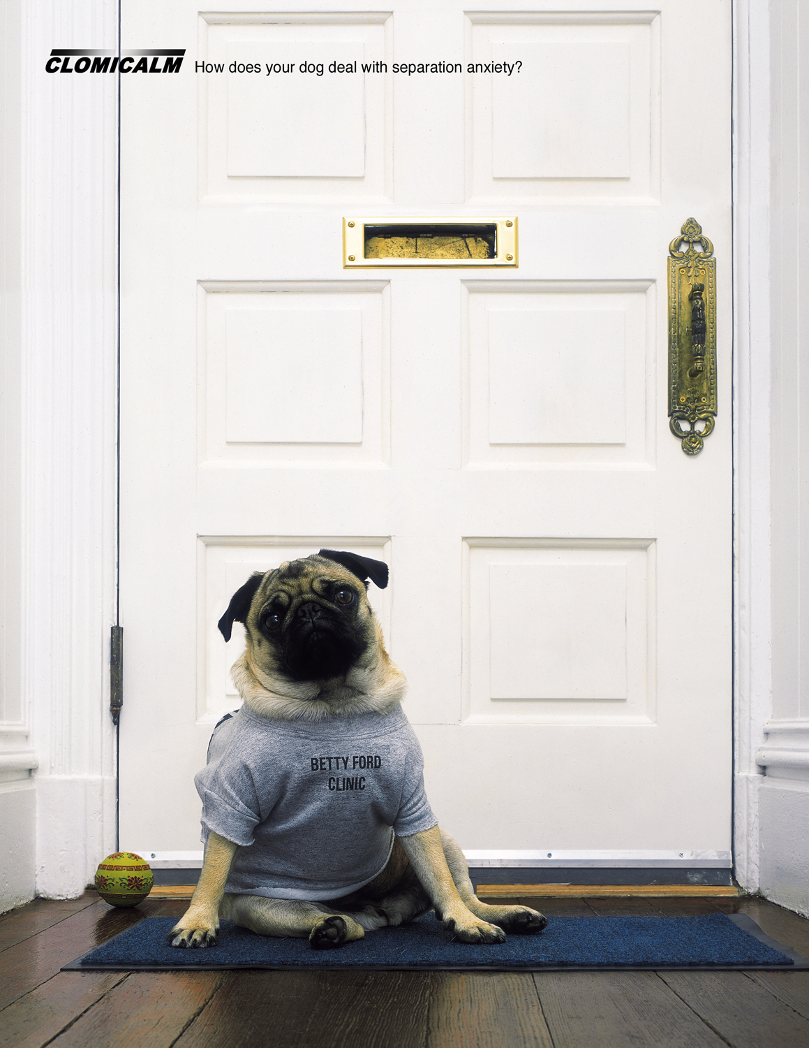 Clomicalm "Separation Anxiety Medication for Dogs" 