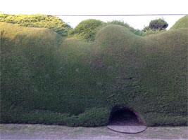 IMG_3260-01.jpg