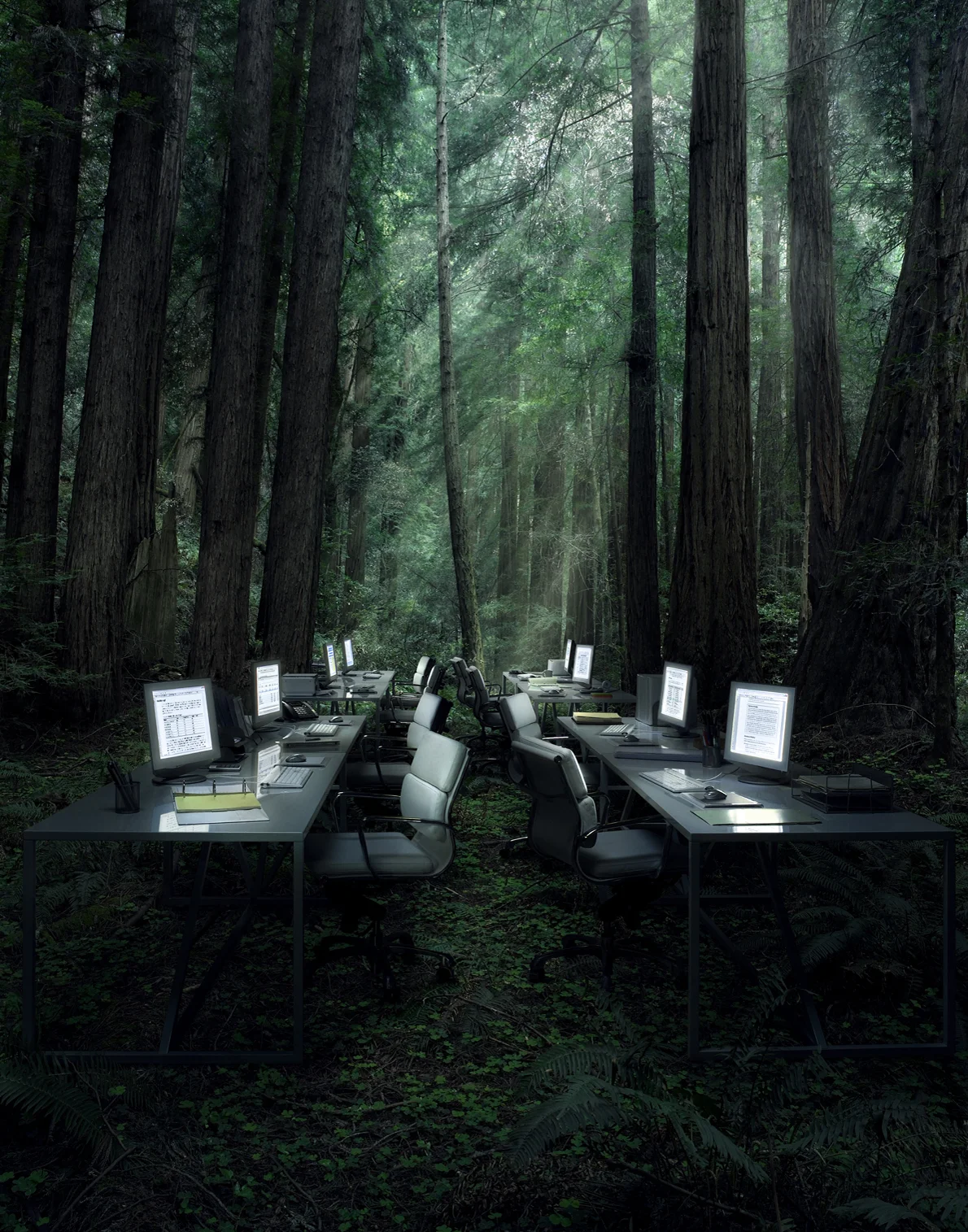 IBM_Green_1.jpg