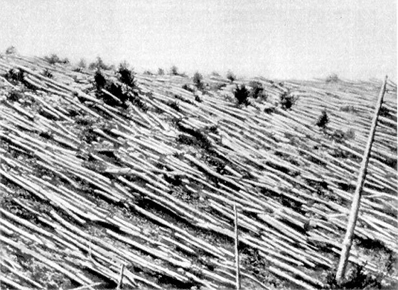 Tunguska event 1908.