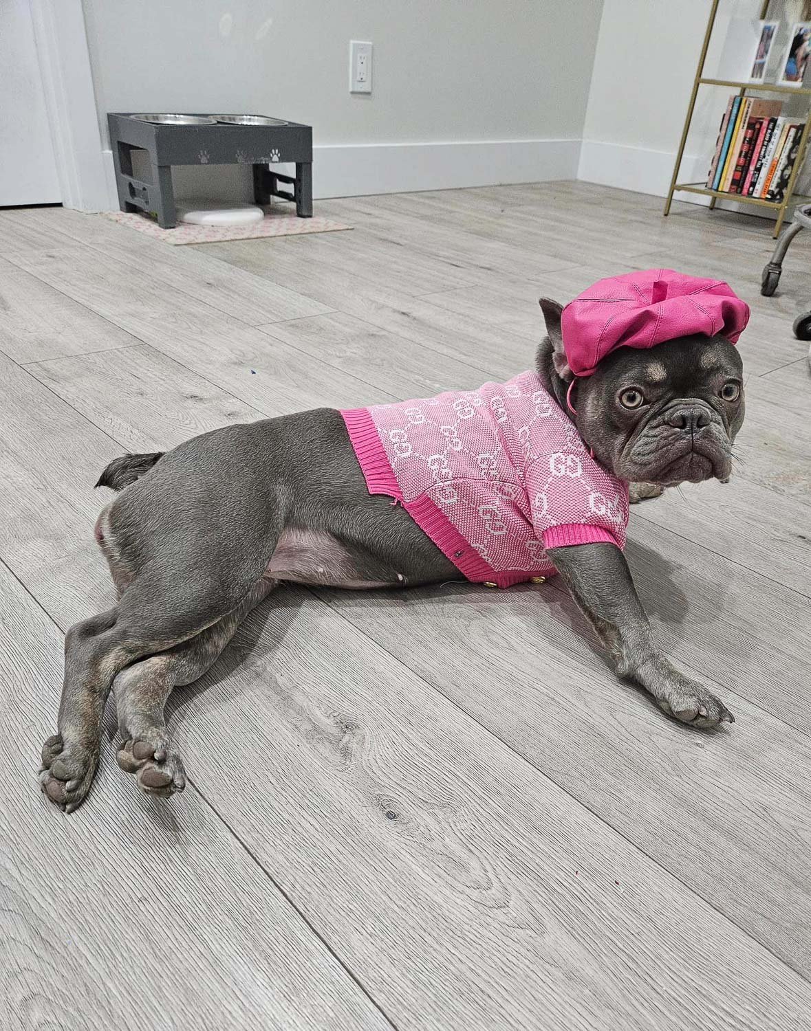 A grey pug dog lying on the floor wearing a pink top and beret