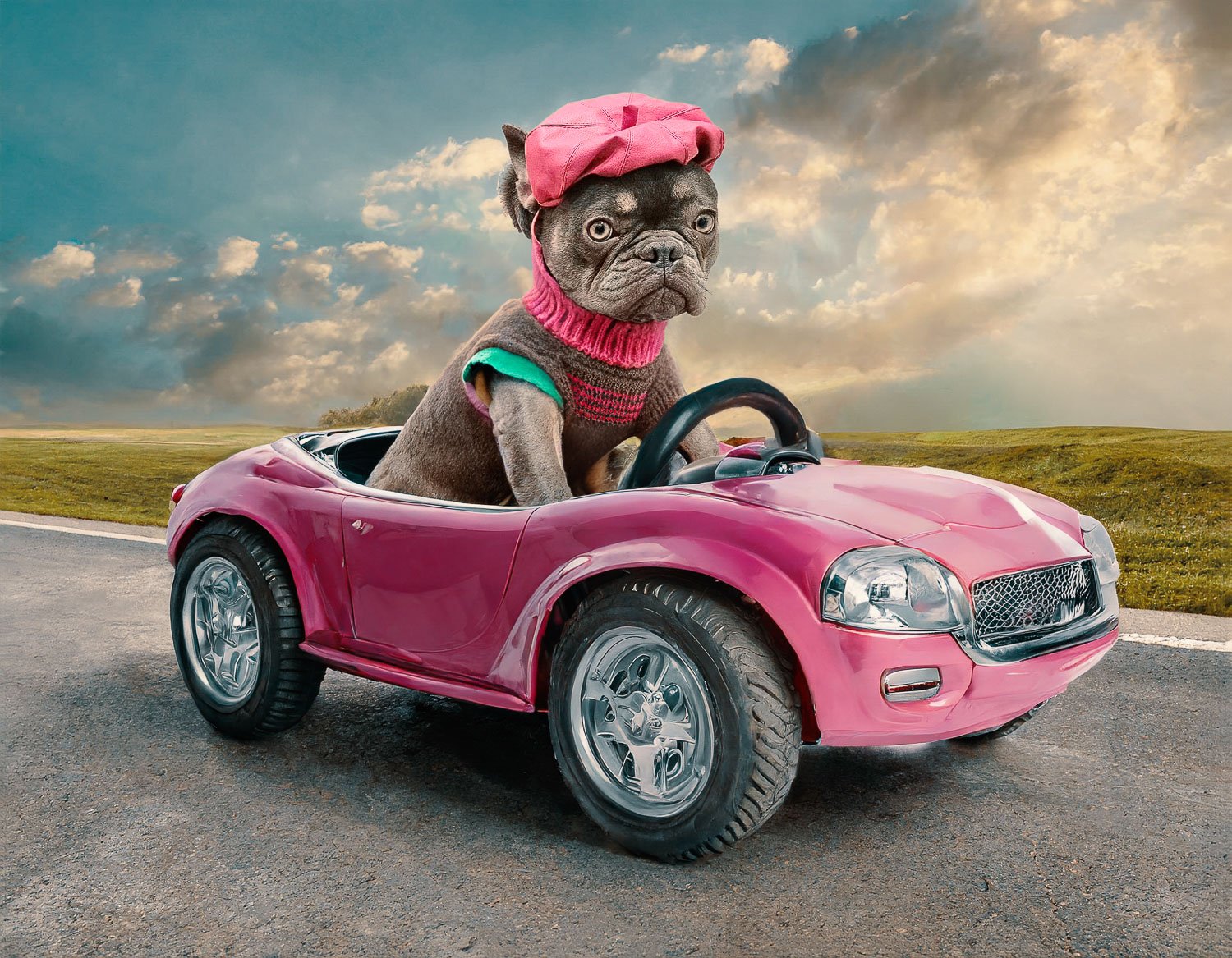  A grey pug dog wearing a pink beret sitting in a pink sports car