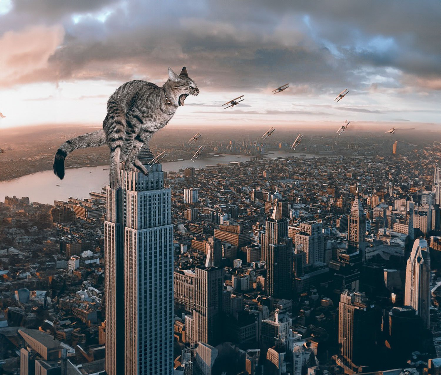 A giant grey cat sitting on top of the Empire State building surrounded by vintage airplanes