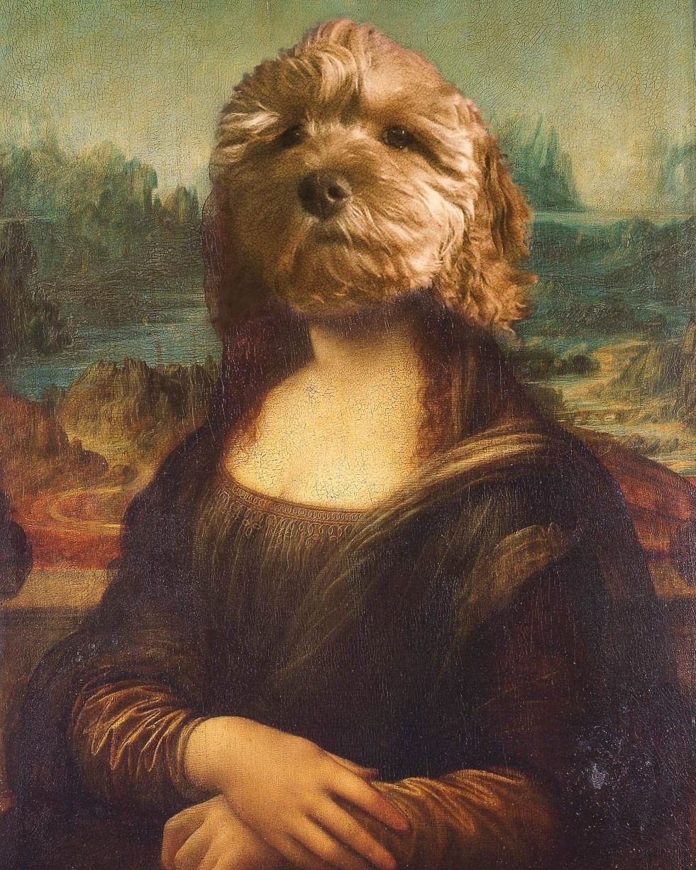 The Mona Lisa painting with the head of a cavoodle