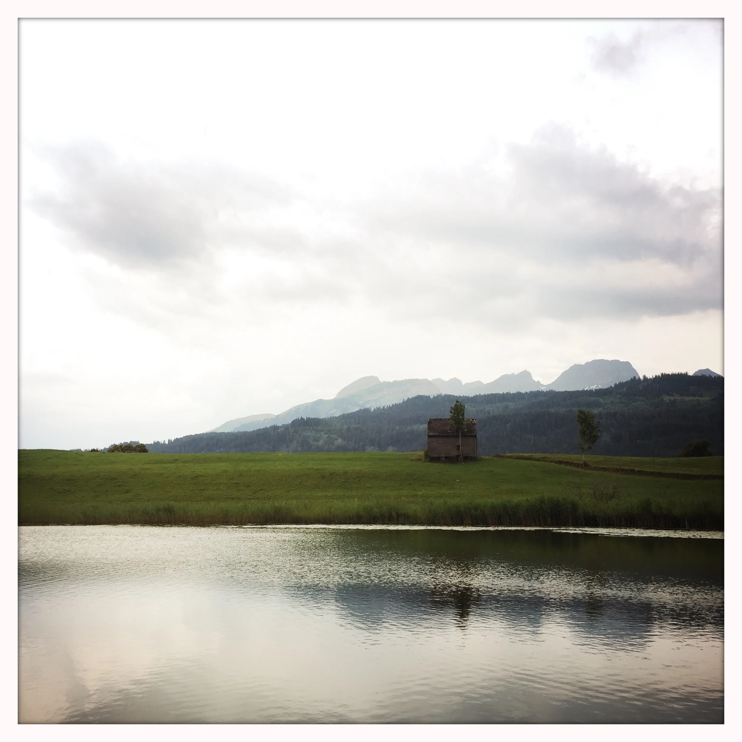 HipstamaticPhoto-554892429.802135.jpg