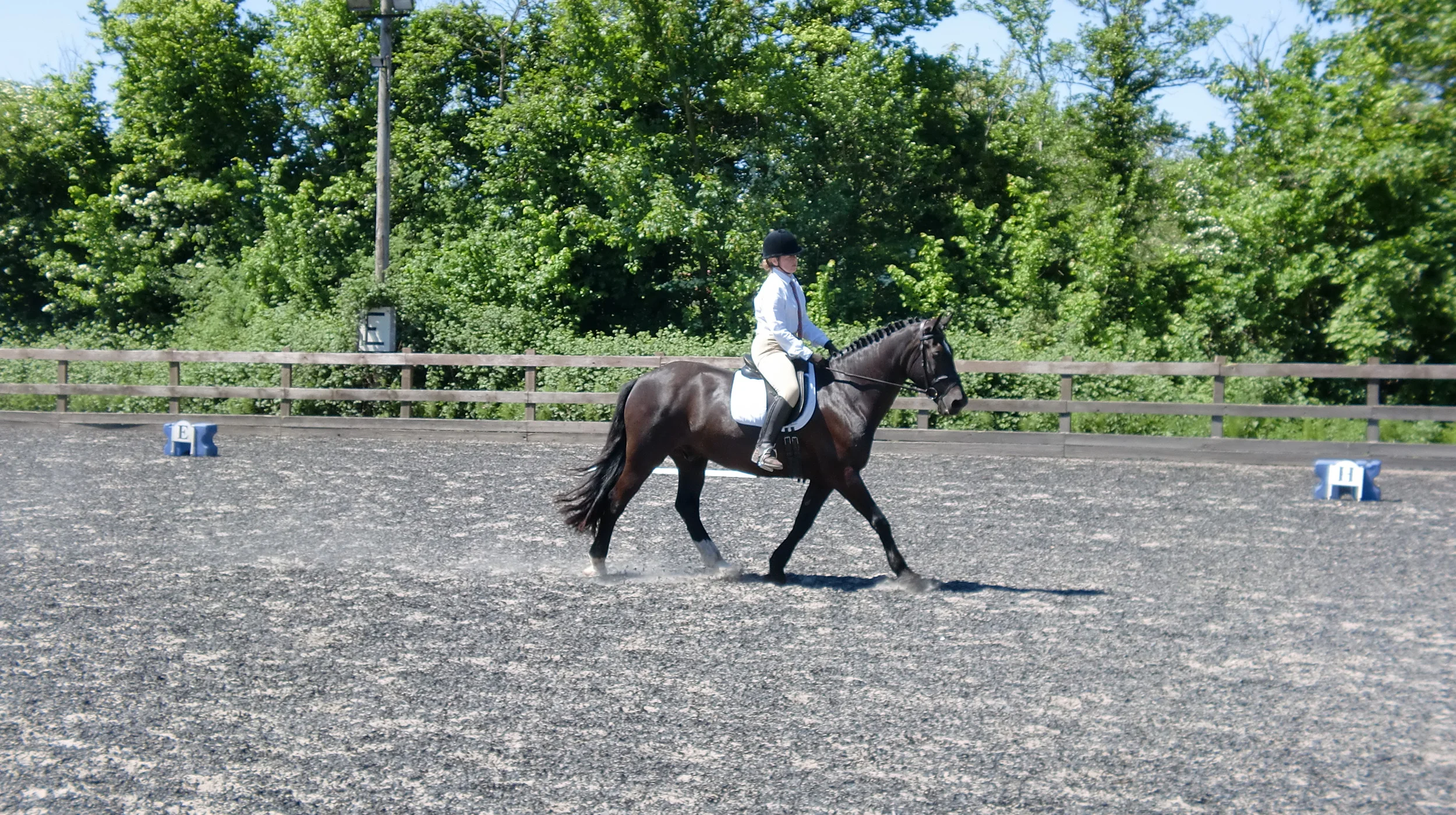 Ernie working livery.jpg