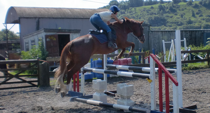 Show Jumping Lessons
