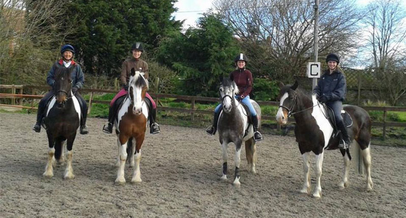 Adult Group Lessons