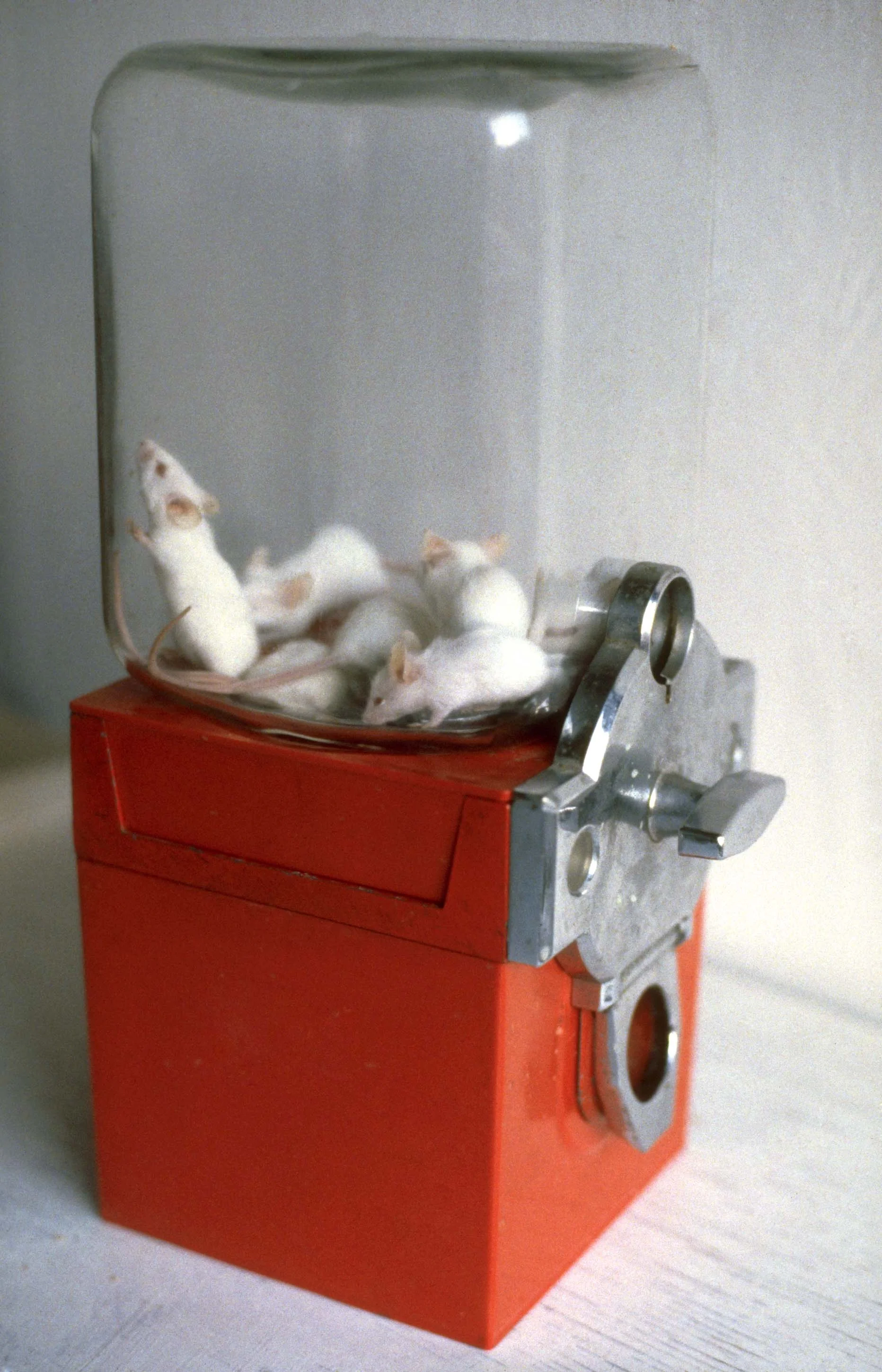 Untitled, 1988