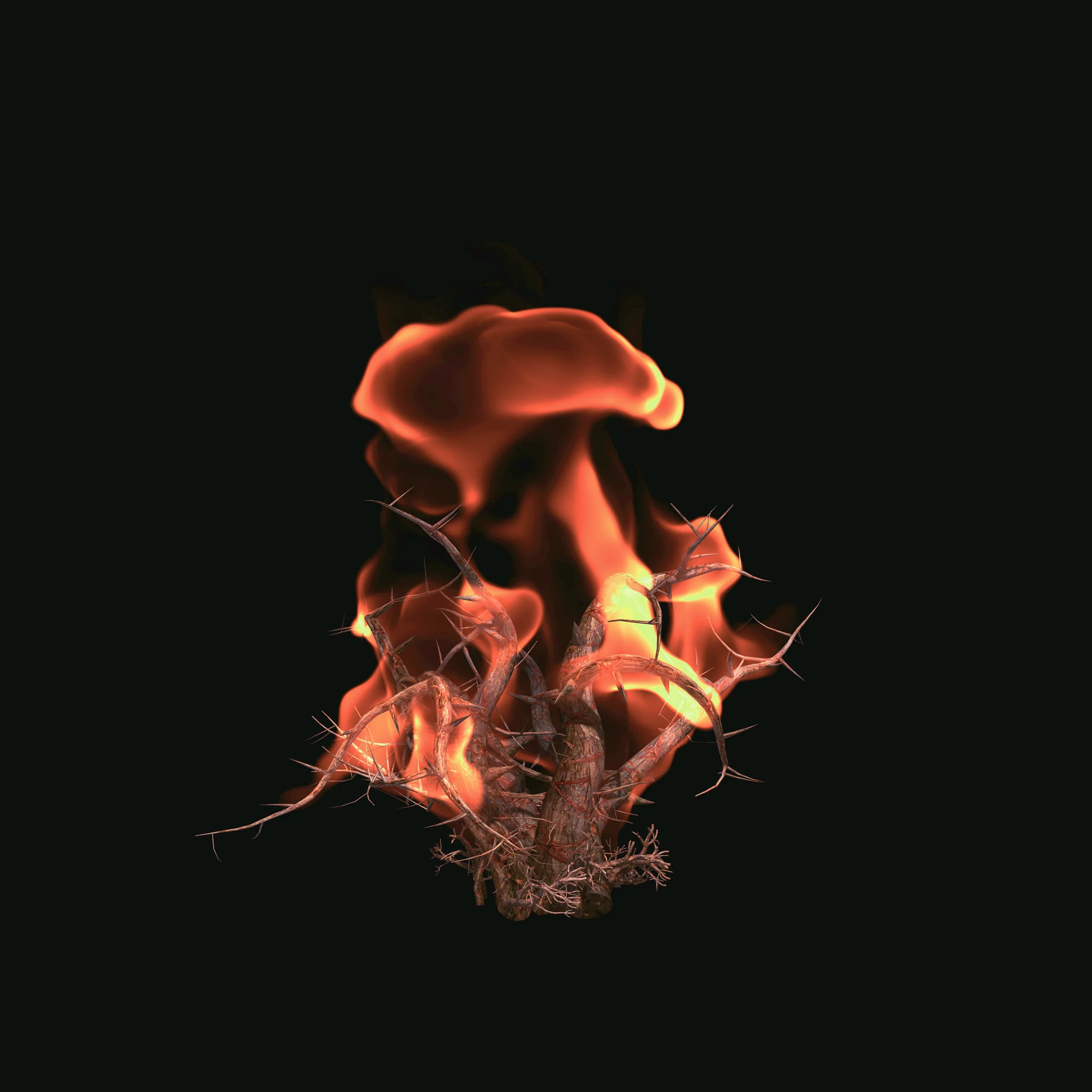 Burning Bush, 2003