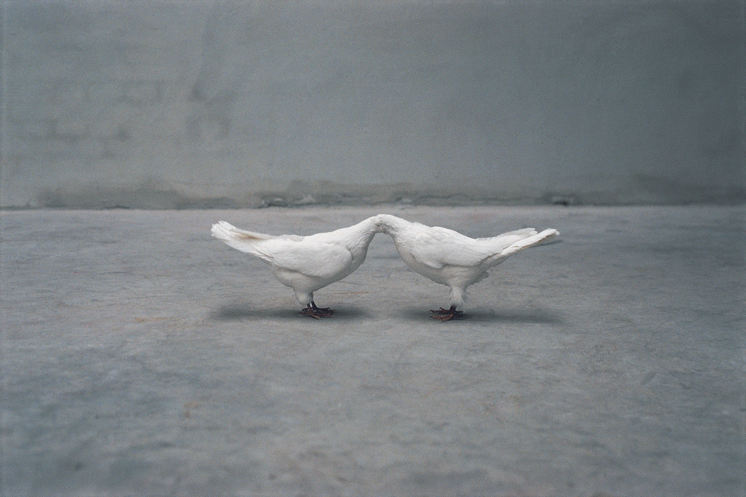 Untitled, 1989-91