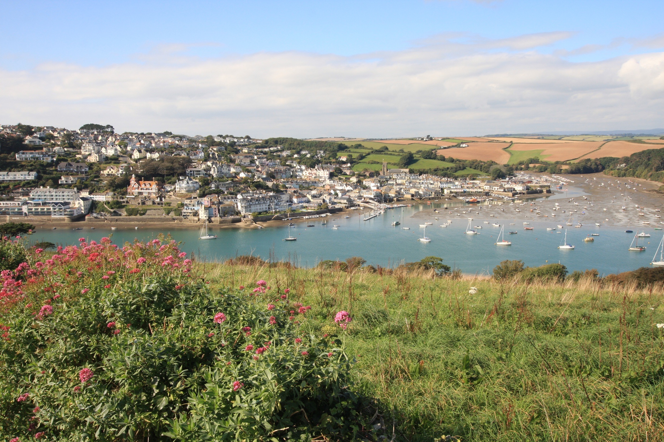 View of Salcombe from East Portlemouth