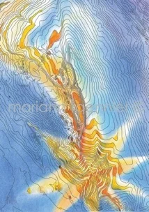 contour star - oil on paper