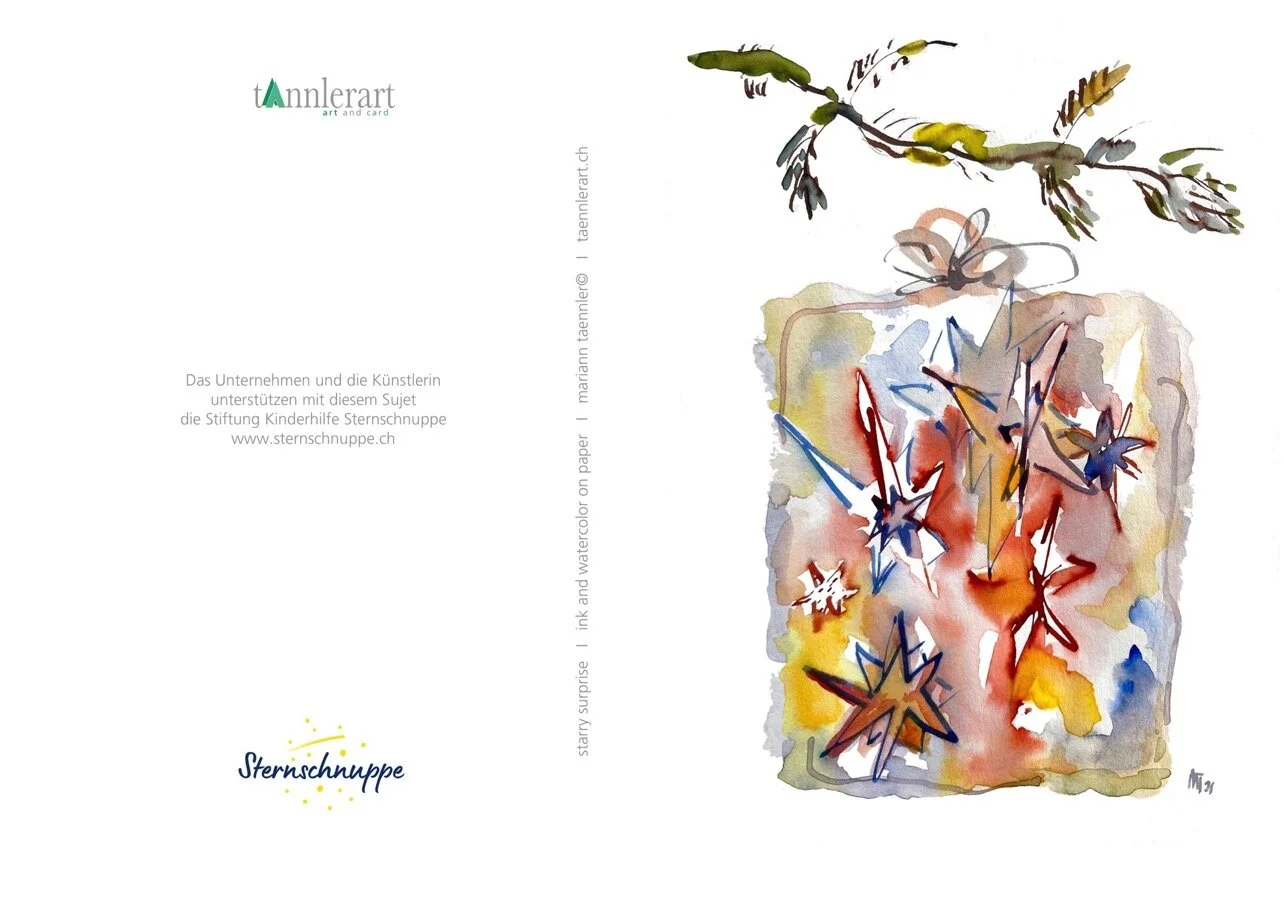 ST_starry surprise_IMG8978_2021 sternschnuppe Kopie.jpeg