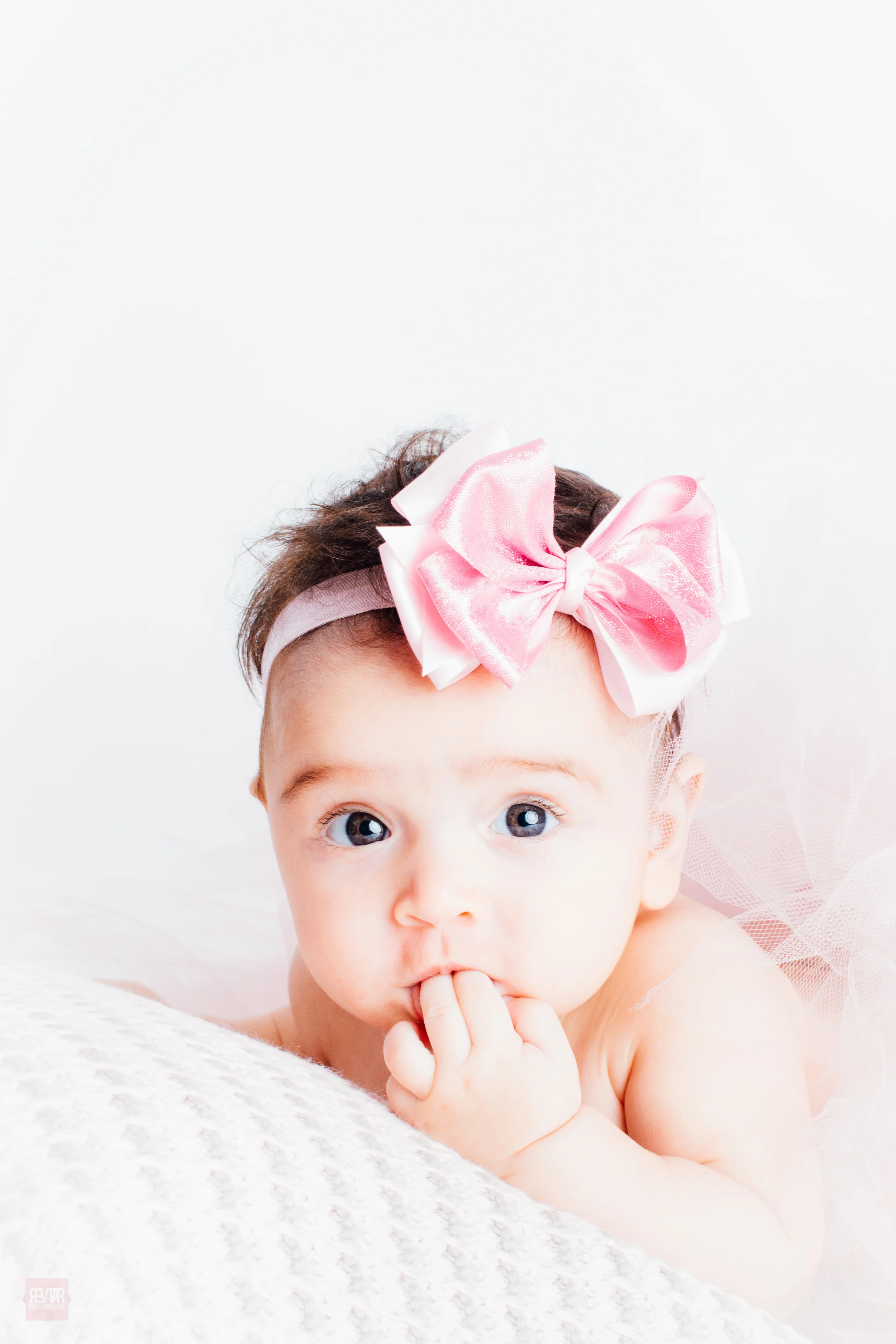 Dahlia_ 092815_RevtarPhotography-2.jpg