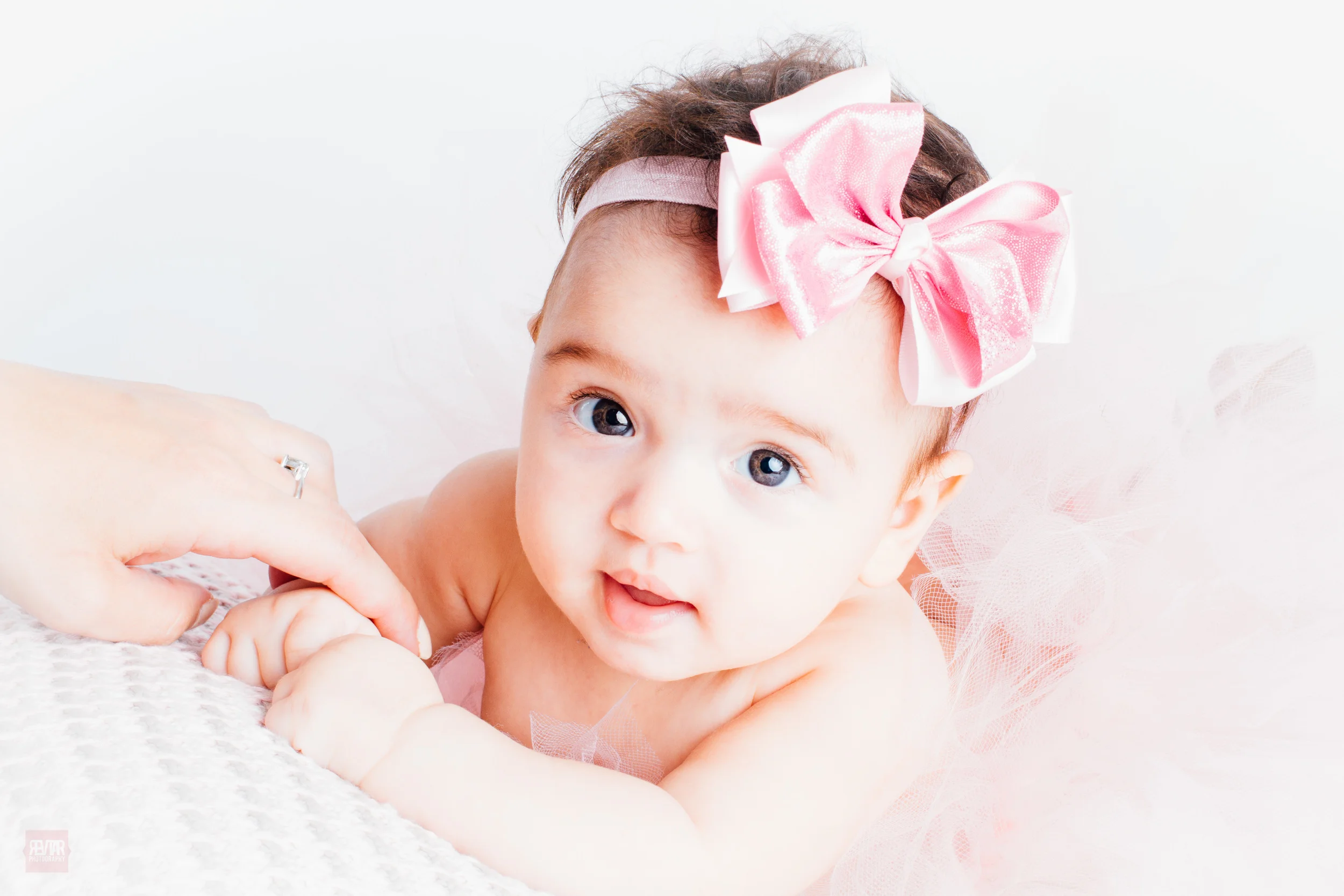 Dahlia_ 092815_RevtarPhotography-1.jpg