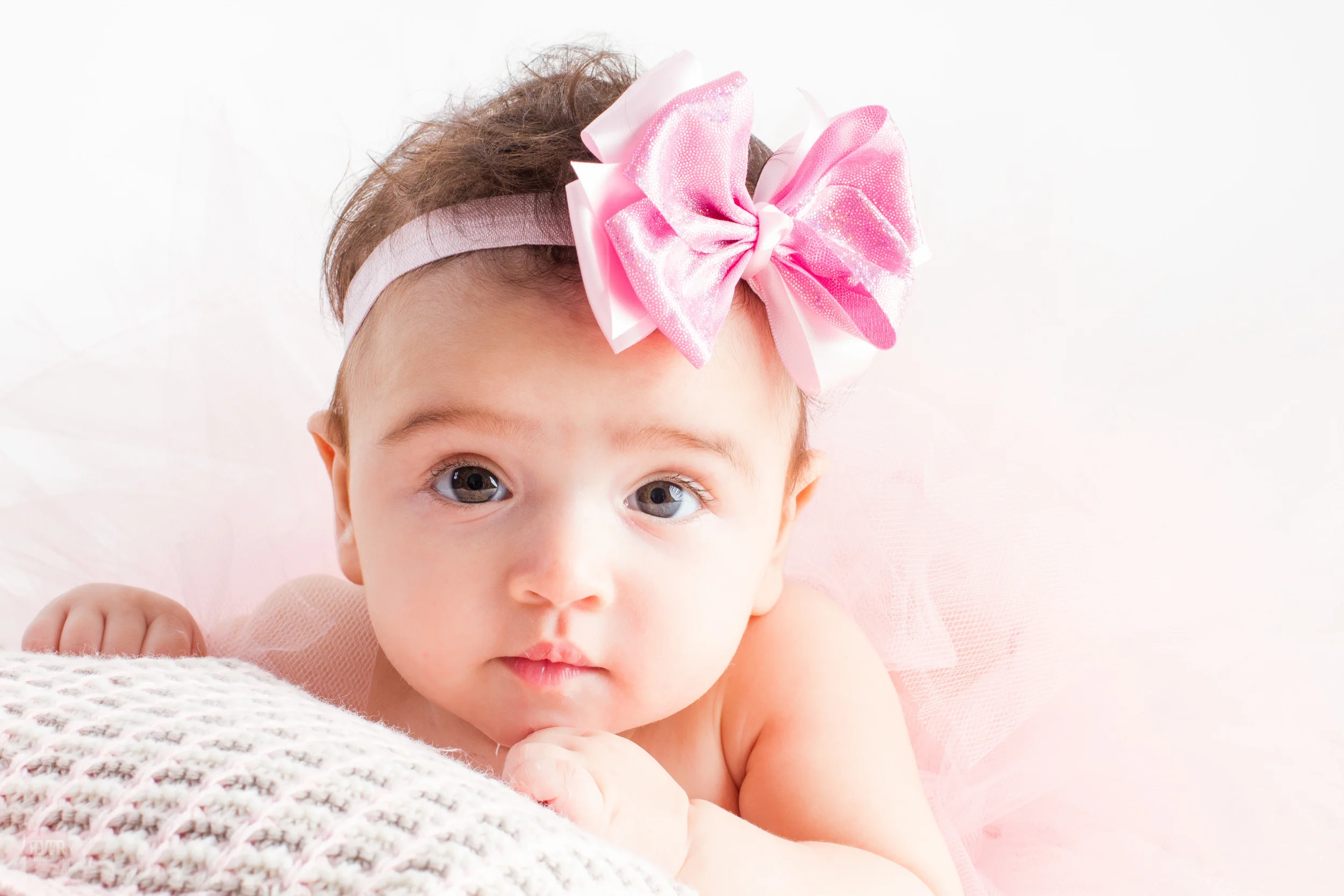 Dahlia_ 092815_RevtarPhotography-4.jpg